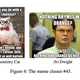 Only meme-meisters know why some memes tend to succeed at the same time as others.